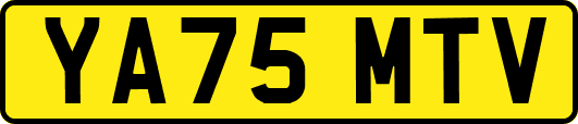 YA75MTV