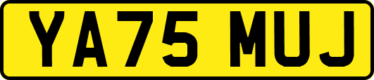 YA75MUJ