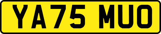 YA75MUO