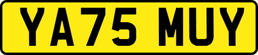 YA75MUY