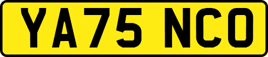 YA75NCO