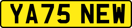 YA75NEW