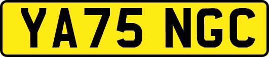 YA75NGC