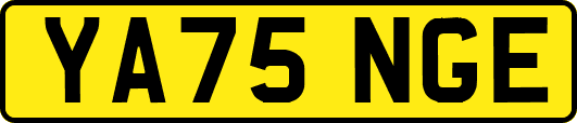 YA75NGE