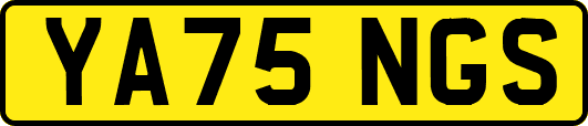 YA75NGS