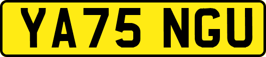 YA75NGU