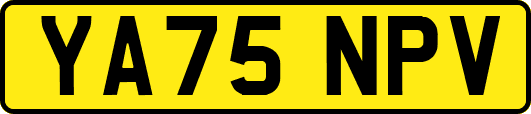 YA75NPV