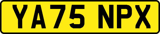 YA75NPX