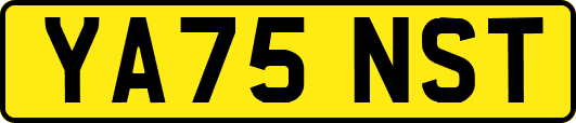 YA75NST