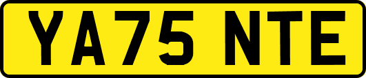 YA75NTE