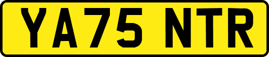 YA75NTR