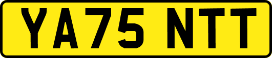 YA75NTT