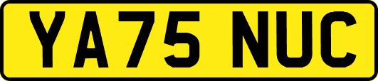 YA75NUC