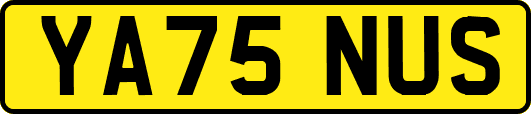 YA75NUS