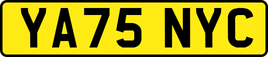 YA75NYC
