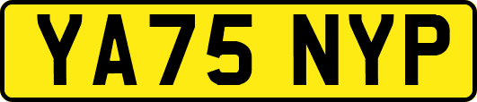 YA75NYP