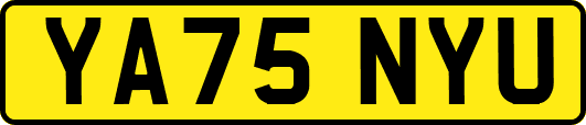 YA75NYU