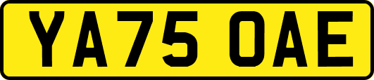 YA75OAE