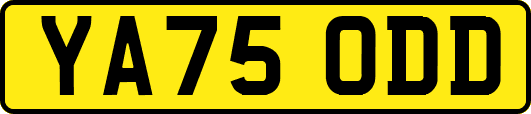 YA75ODD