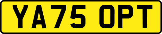 YA75OPT