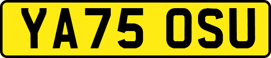 YA75OSU