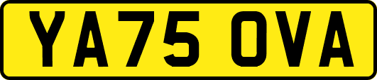 YA75OVA