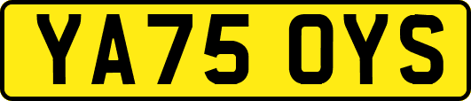 YA75OYS