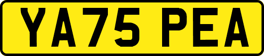YA75PEA