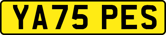 YA75PES
