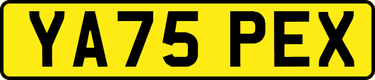 YA75PEX