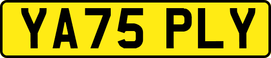 YA75PLY
