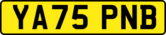 YA75PNB