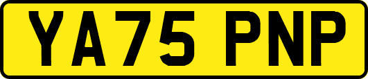 YA75PNP