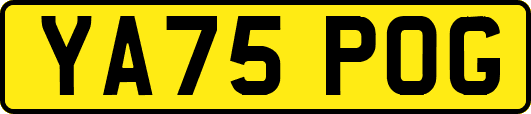 YA75POG