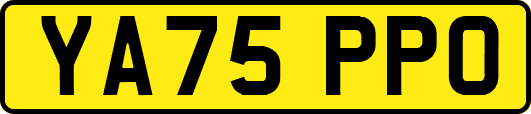 YA75PPO
