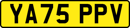YA75PPV