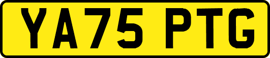 YA75PTG