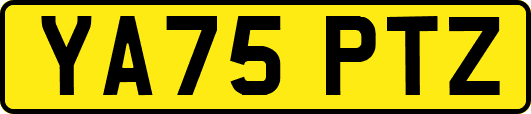 YA75PTZ