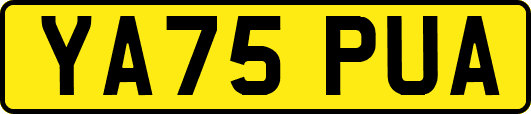 YA75PUA