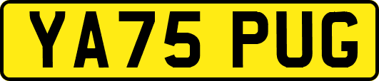 YA75PUG