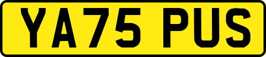 YA75PUS
