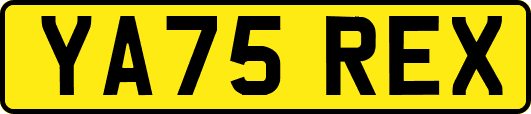 YA75REX