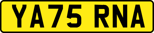 YA75RNA