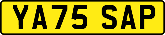 YA75SAP