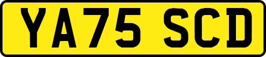 YA75SCD