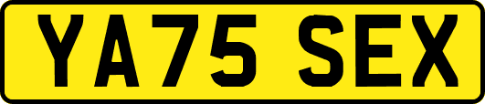 YA75SEX