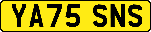 YA75SNS
