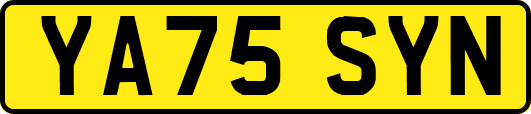 YA75SYN