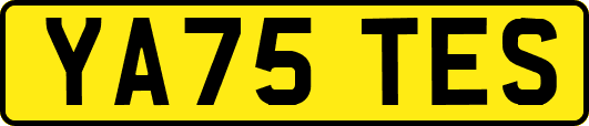 YA75TES