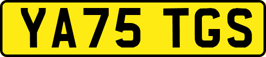 YA75TGS